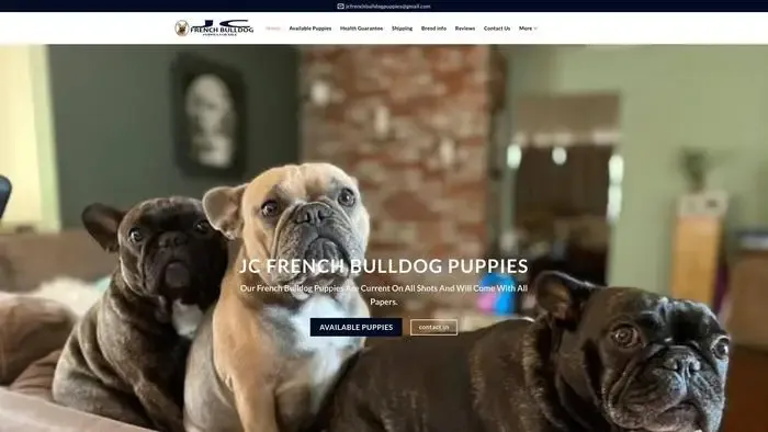 Screenshot of