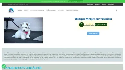 Screenshot of
