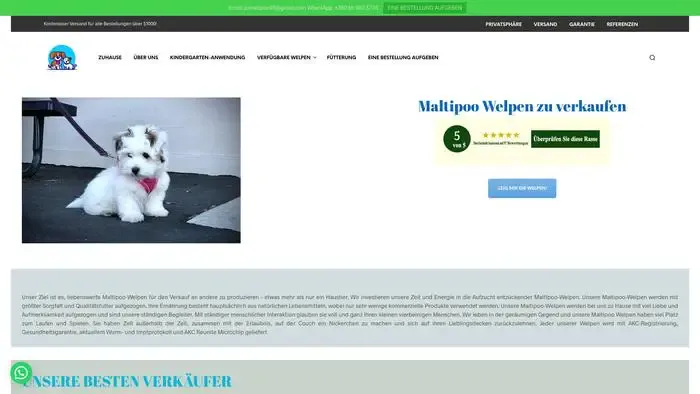 Screenshot of