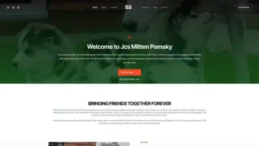Screenshot of