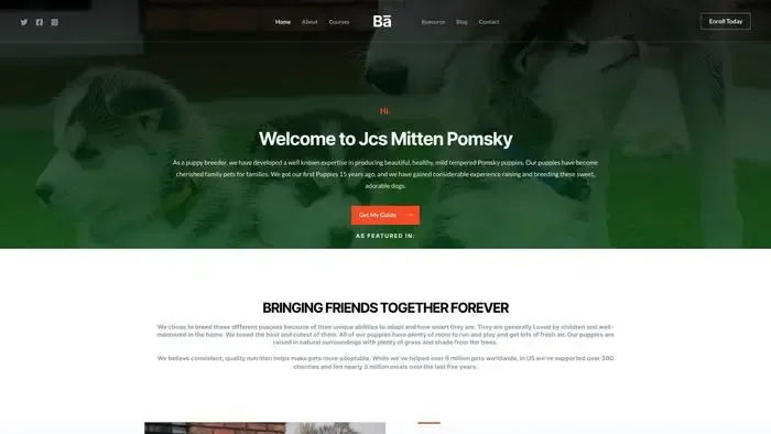 Screenshot of