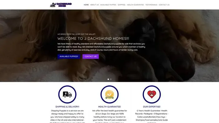 Screenshot of