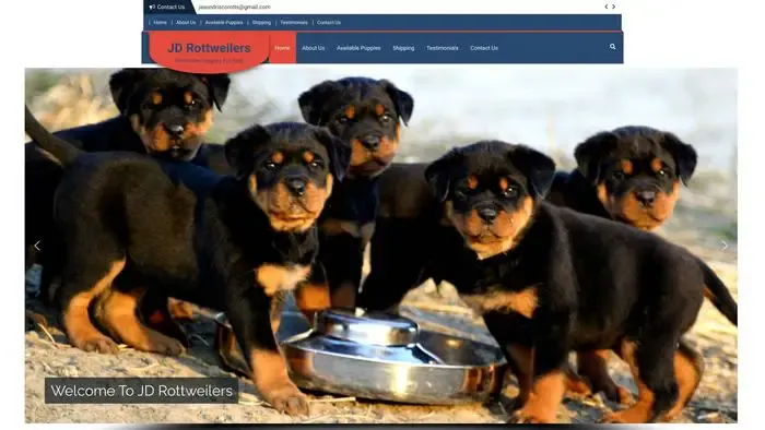 Screenshot of