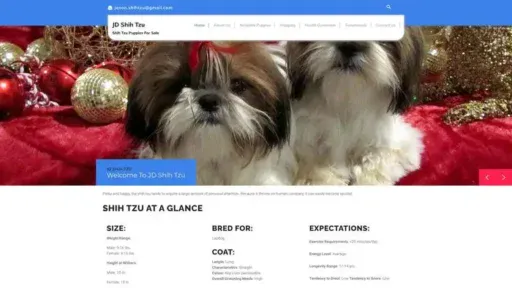 Screenshot of