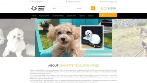 Screenshot of