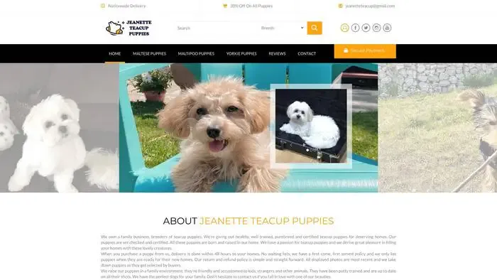 Screenshot of
