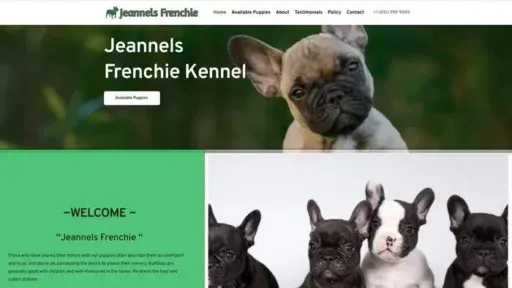 Screenshot of