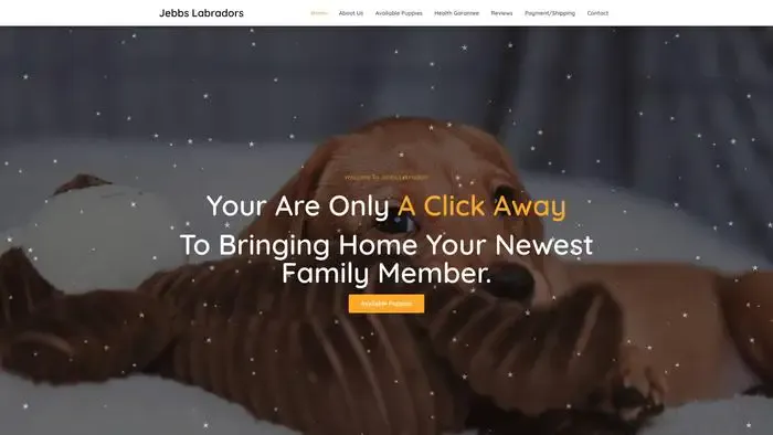 Screenshot of