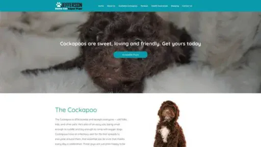 Screenshot of