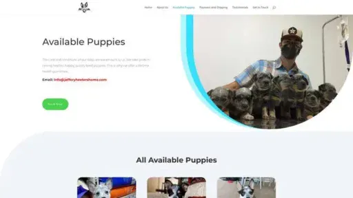Screenshot of
