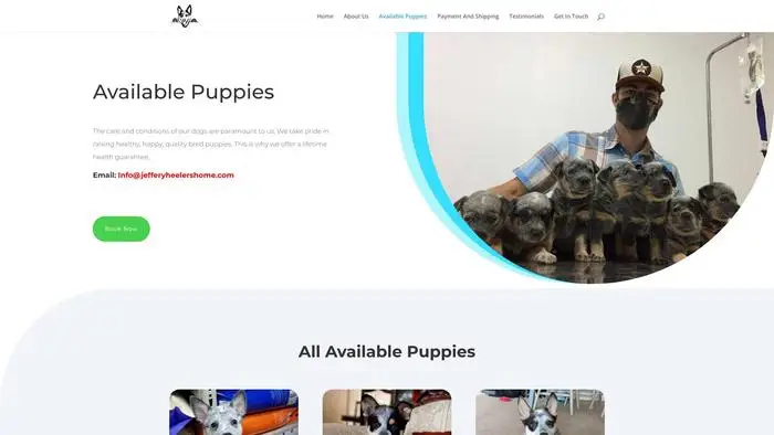 Screenshot of