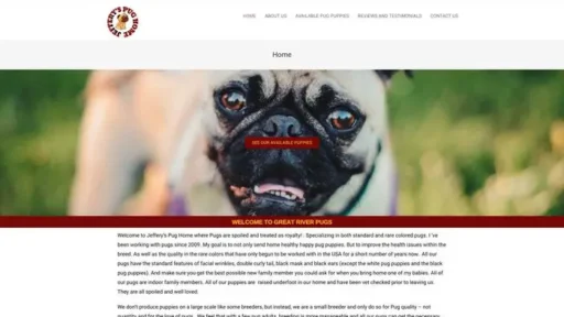 Screenshot of