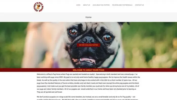 Screenshot of