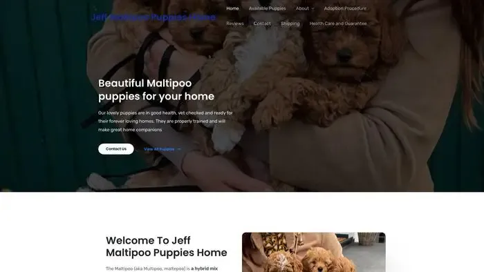 Screenshot of