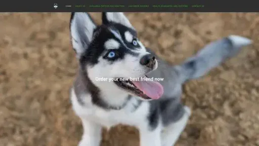Screenshot of