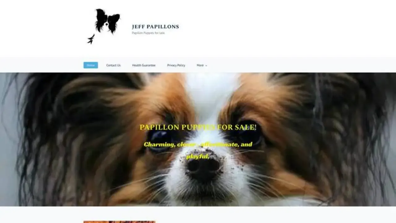 Screenshot of||