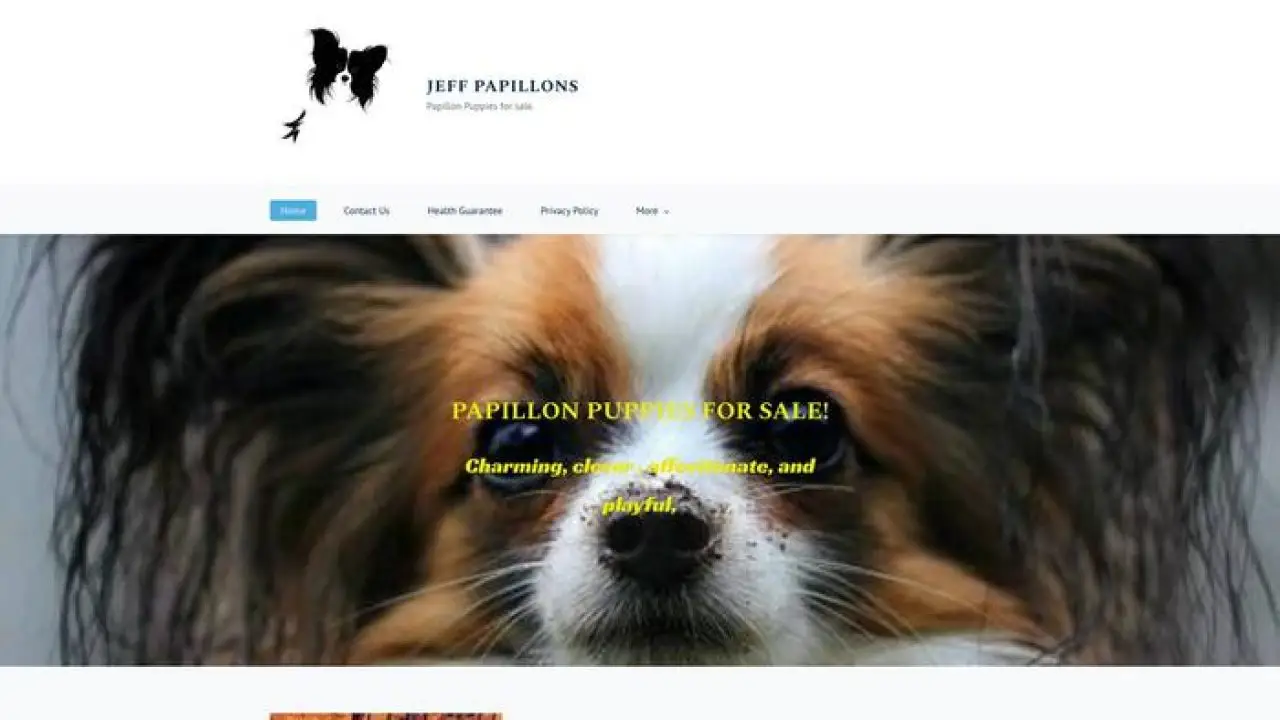 Jeffpapillons