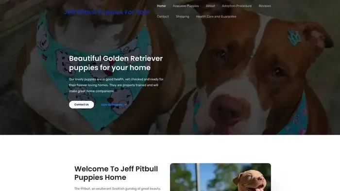 Screenshot of