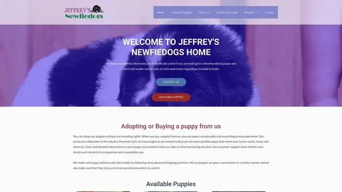 Screenshot of