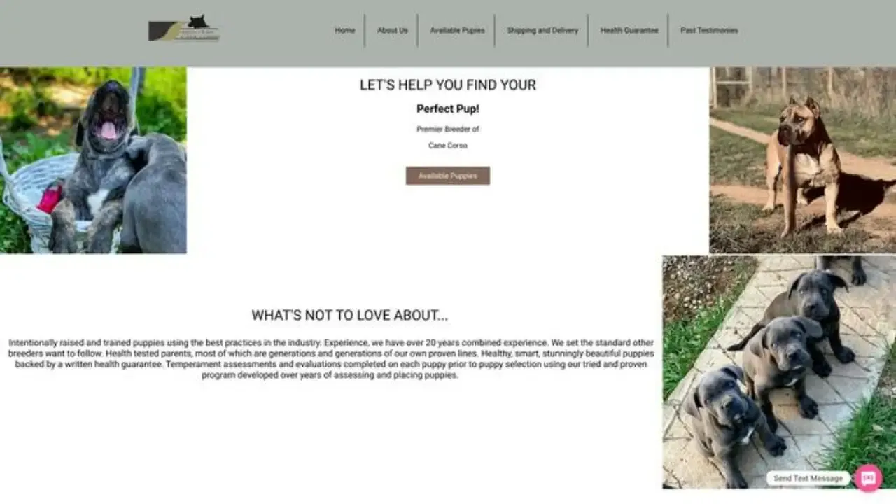 Screenshot of||