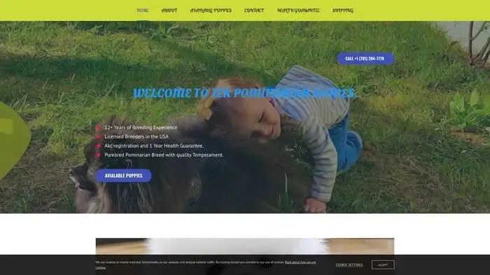 Screenshot of