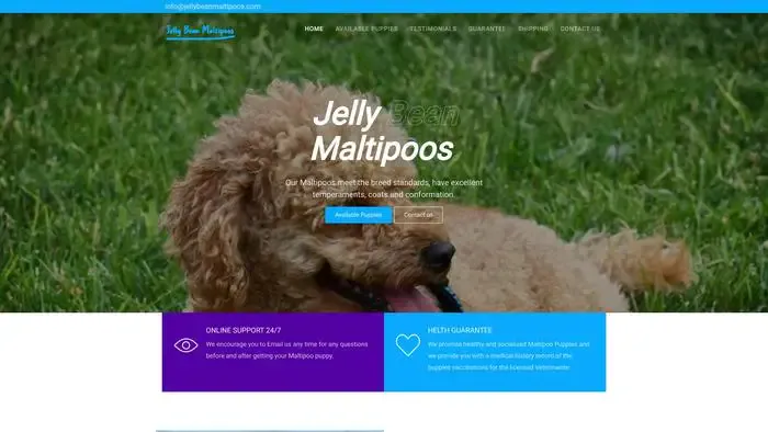 Screenshot of