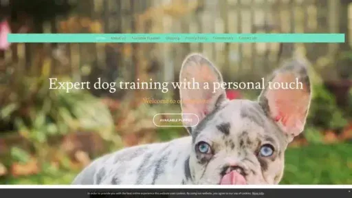 Screenshot of