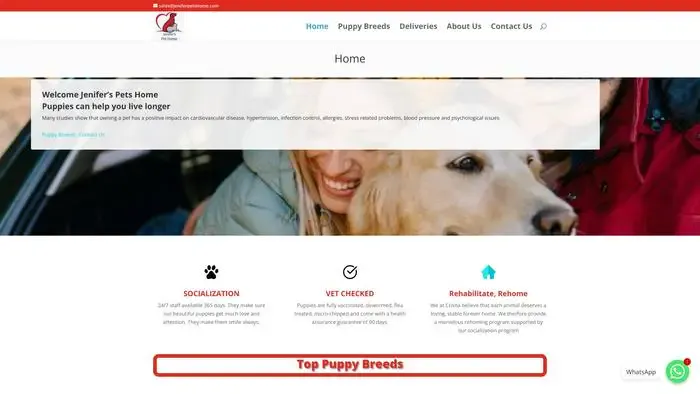 Screenshot of