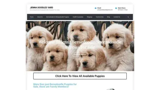 Screenshot of