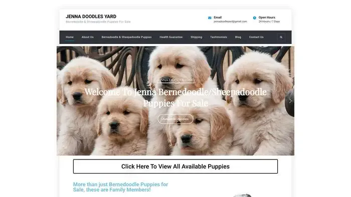 Screenshot of