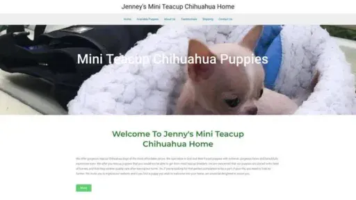 Screenshot of