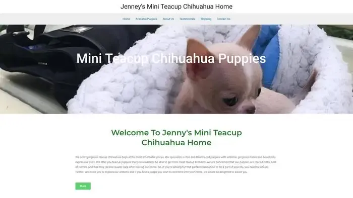Screenshot of
