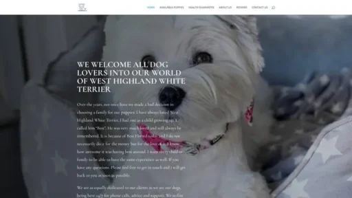 Screenshot of