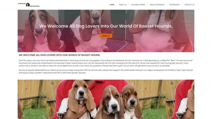 Screenshot of