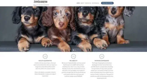 Screenshot of