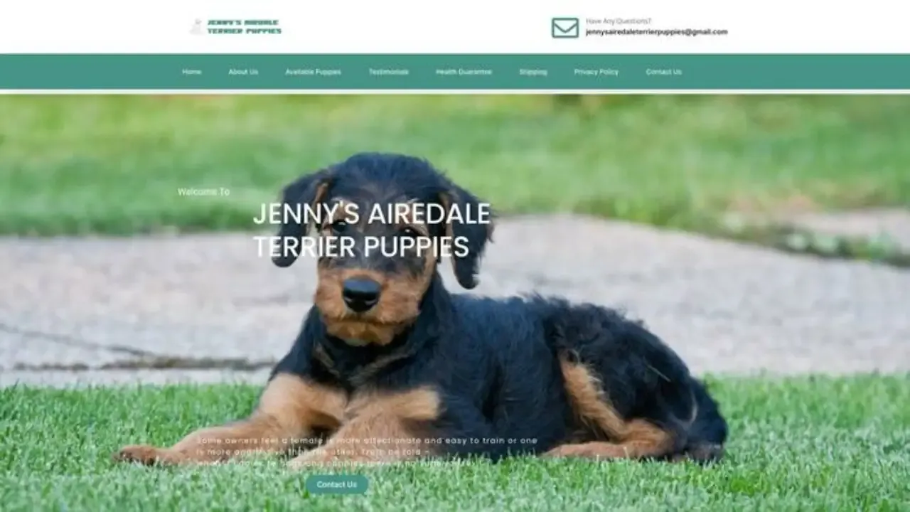 Screenshot of||