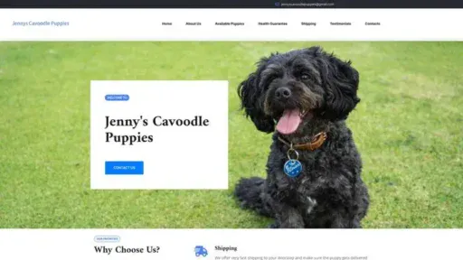 Screenshot of