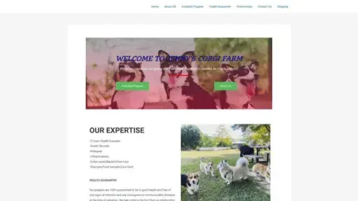 Screenshot of