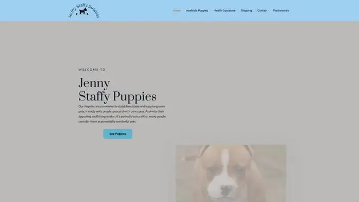 Screenshot of