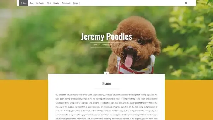 Screenshot of