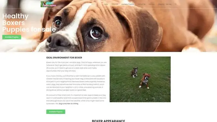 Screenshot of
