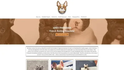 Screenshot of