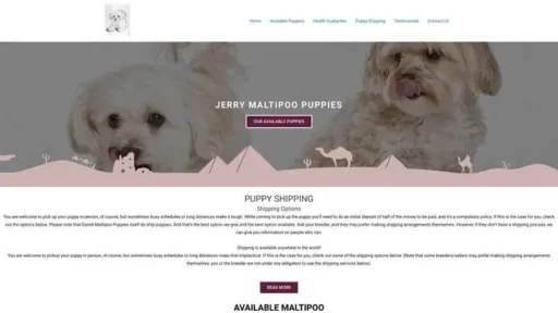 Screenshot of