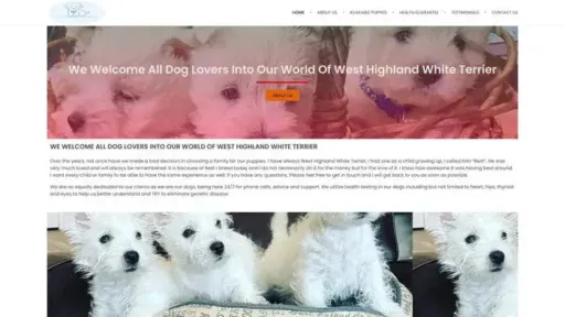 Screenshot of