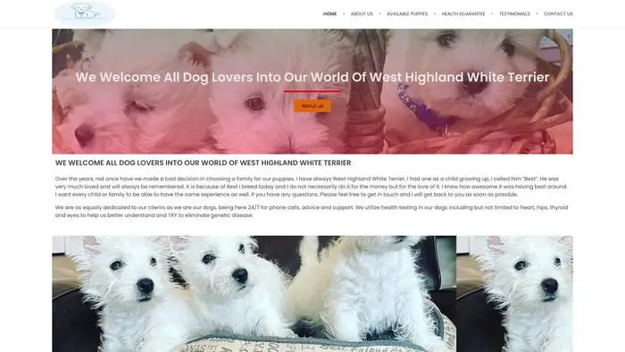 Screenshot of