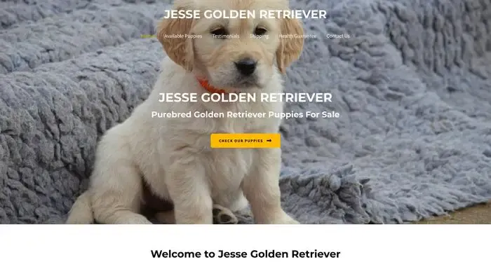 Screenshot of
