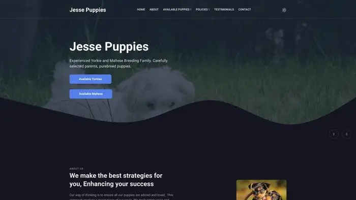 Screenshot of