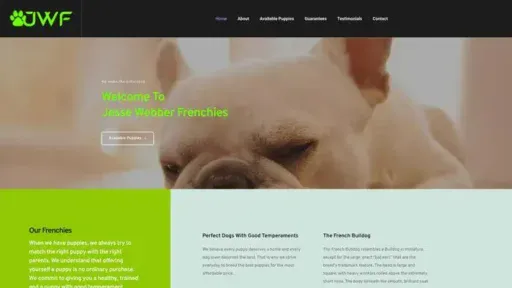 Screenshot of