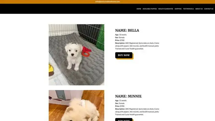 Screenshot of