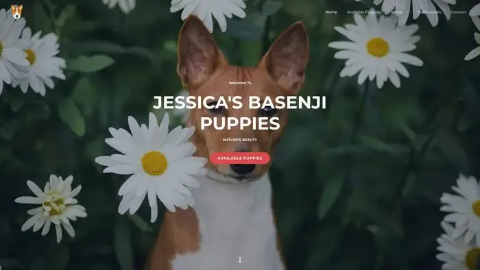 Screenshot of